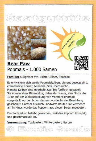 Bear Paw * Popmais * 1.000 Samen